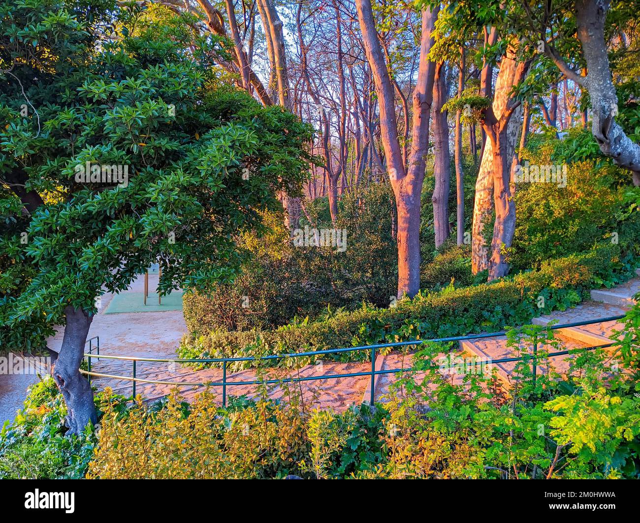 Green park in evening sunlight, Jardins do Palacio de Cristal, Porto, Porto Stock Photo