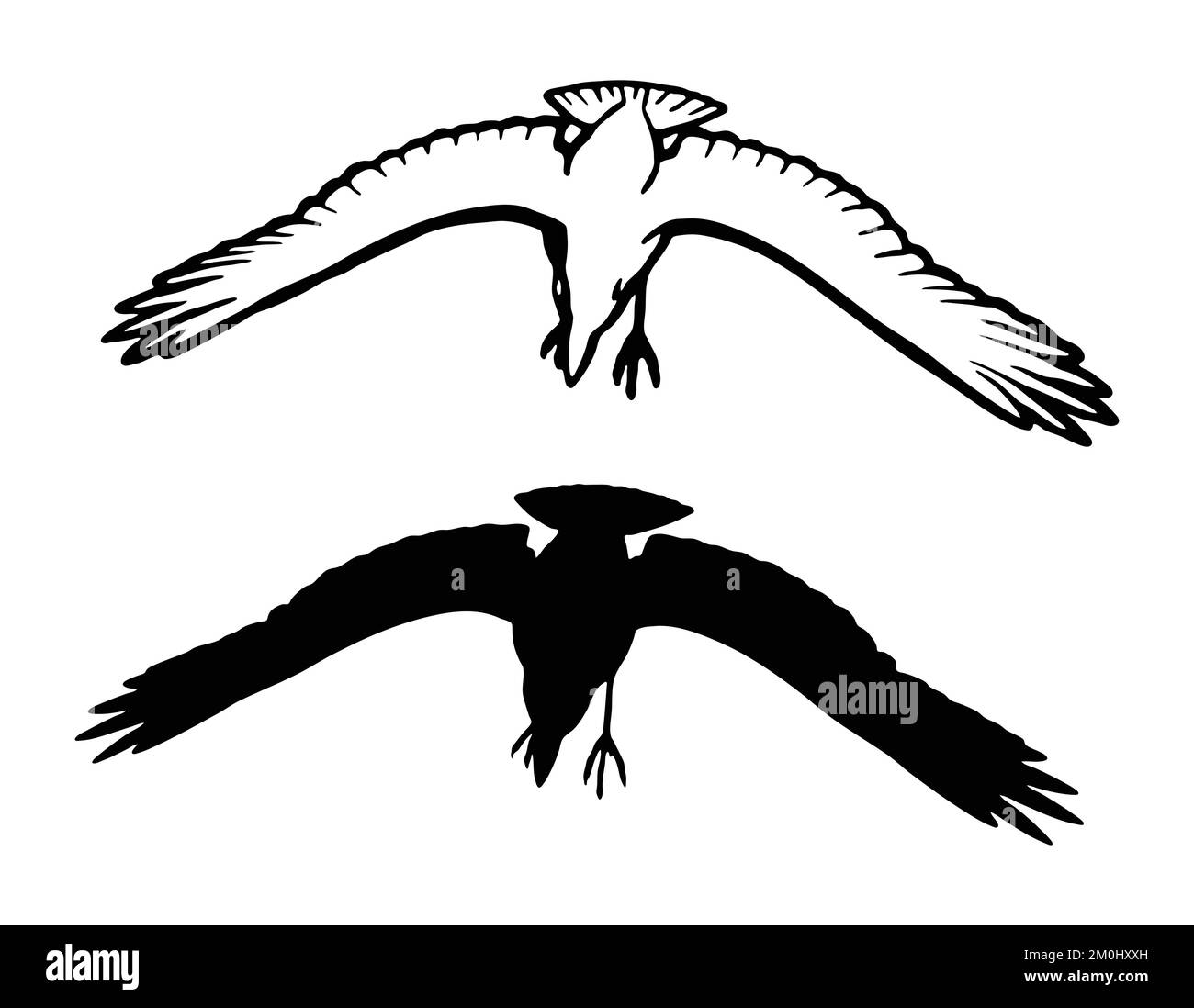 Raven looking Stock Vector Images - Alamy