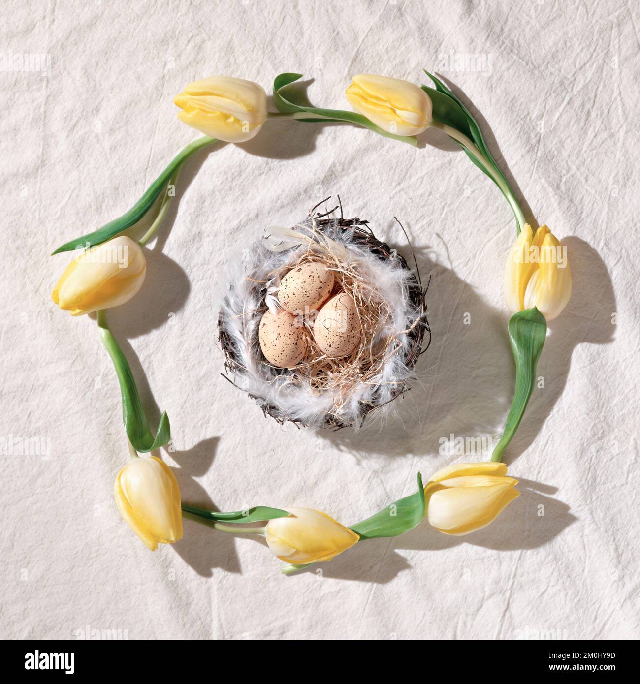 Easter background with yellow tulips and beige eggs in nest on off ...