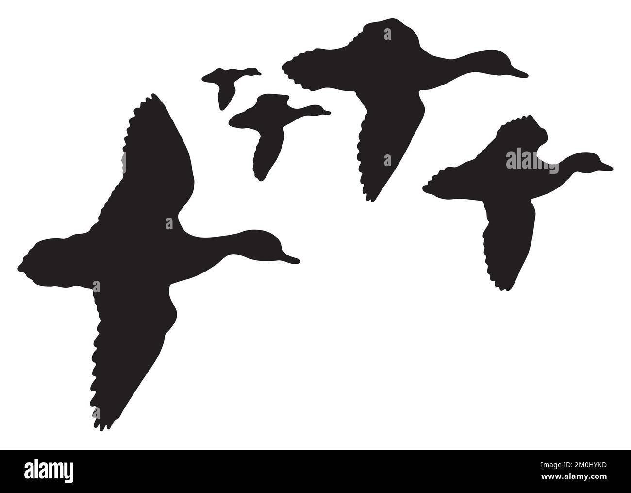 silhouette of ducks flying with open wings vector illustration Stock