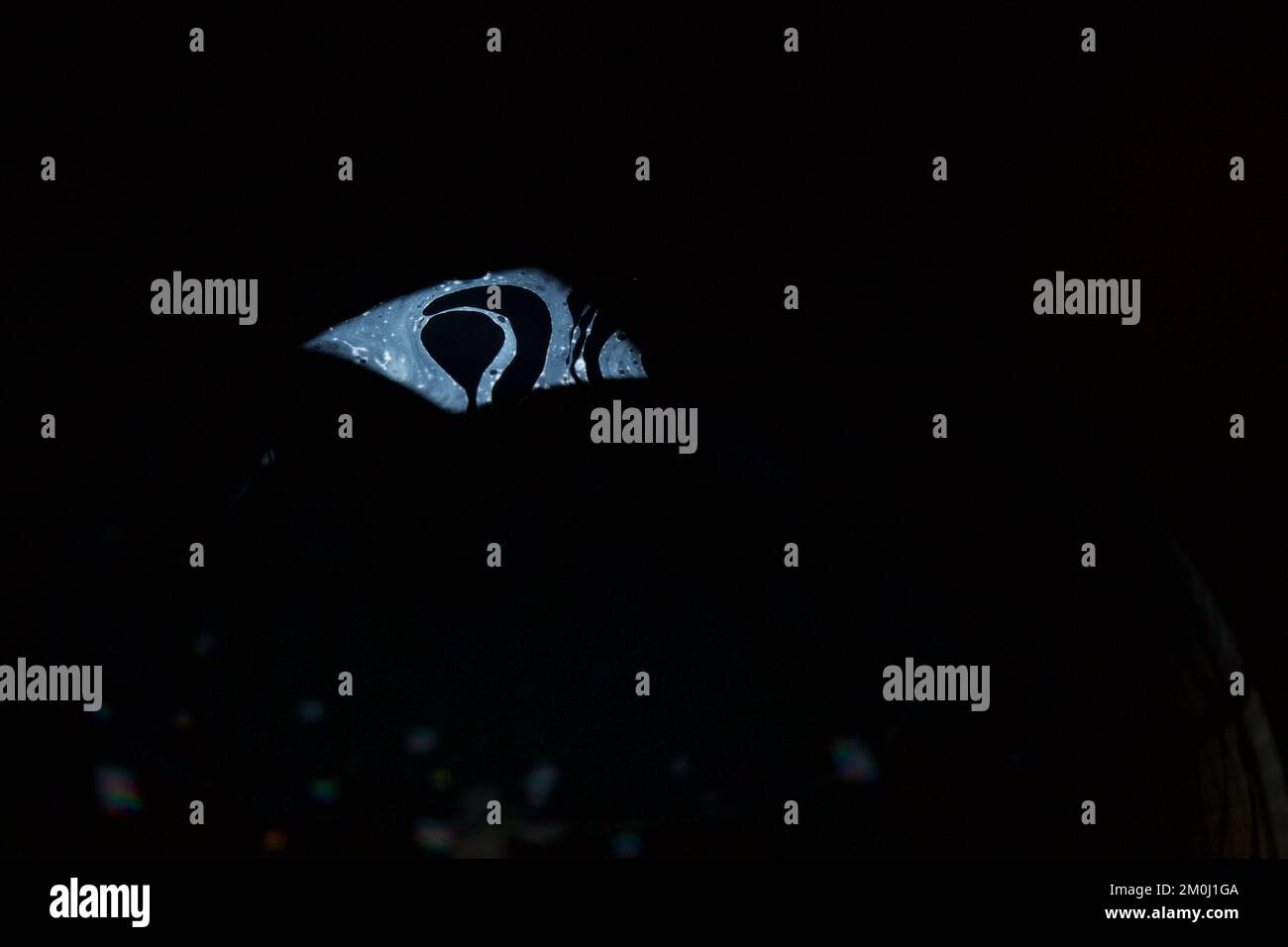 Kaleidoscope of colors Stock Photo Alamy