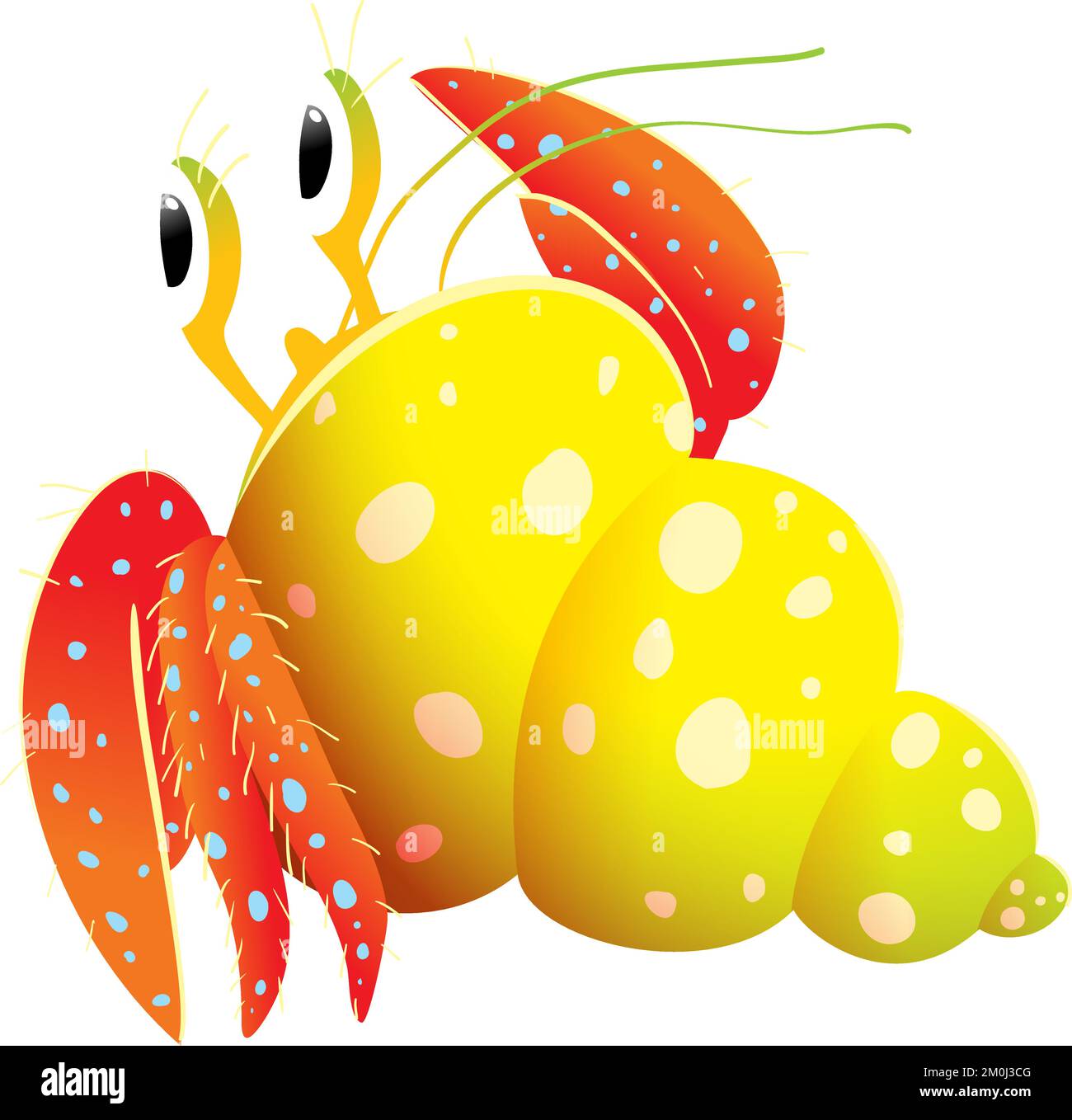 Cute Hermit Crab Hand Drawn Illustration for Kids Stock Vector Image