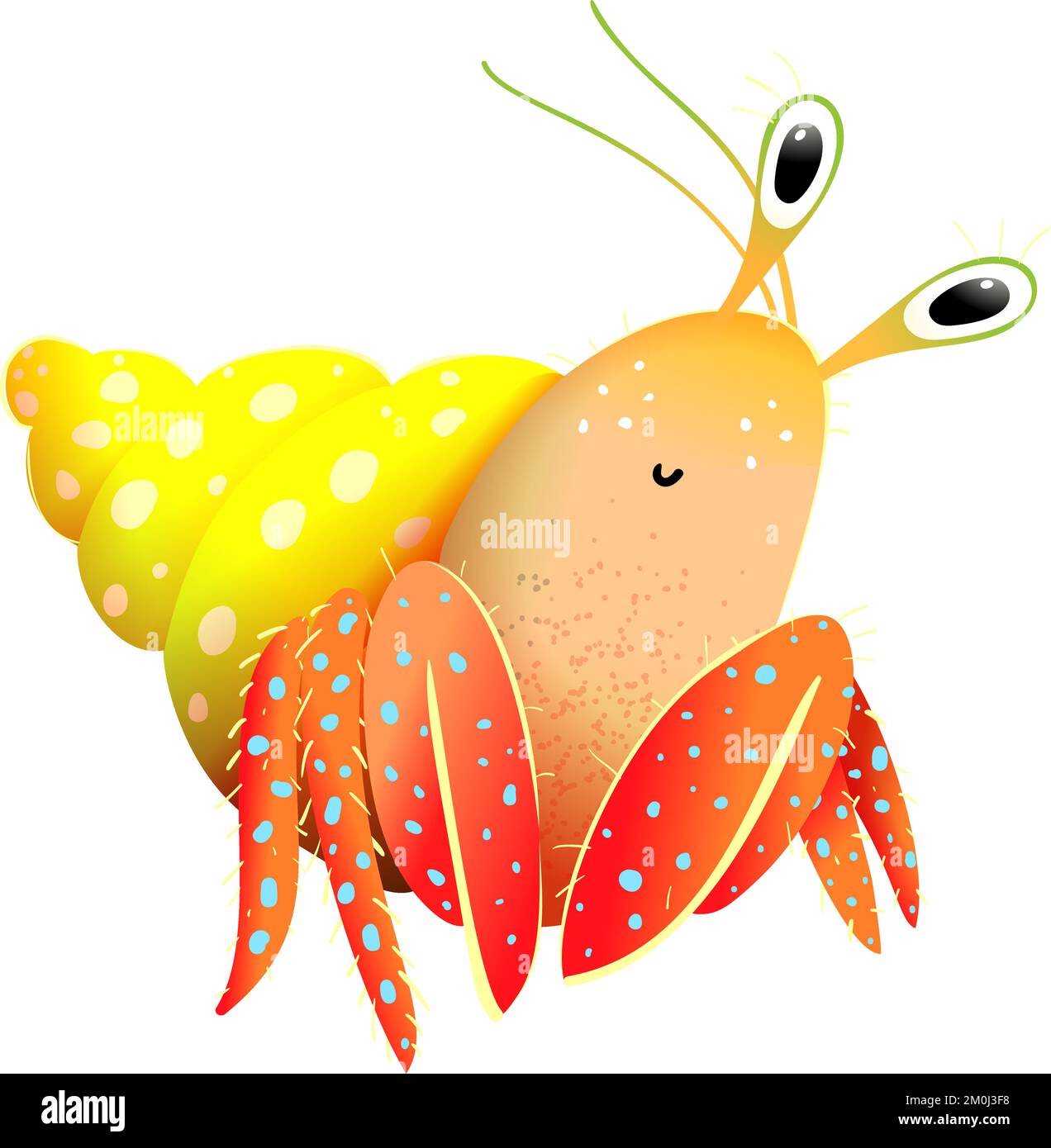 Ocean Animal Cartoon Vector Illustration Set 1 Stock Illustration -  Download Image Now - Hermit Crab, Angelfish, Animal - iStock