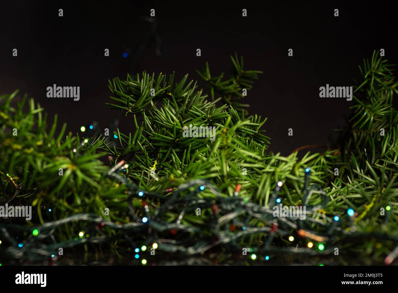 Festive winter holiday abstract decoration and the Christmas tree with shiny fairy lights in the background with copy space Stock Photo