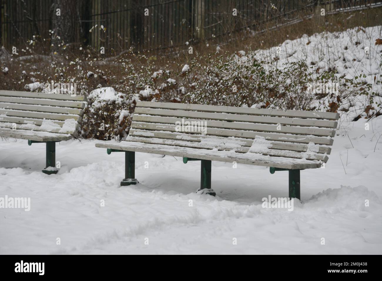 wooden bench in the park is covered with snow Stock Photo - Alamy
