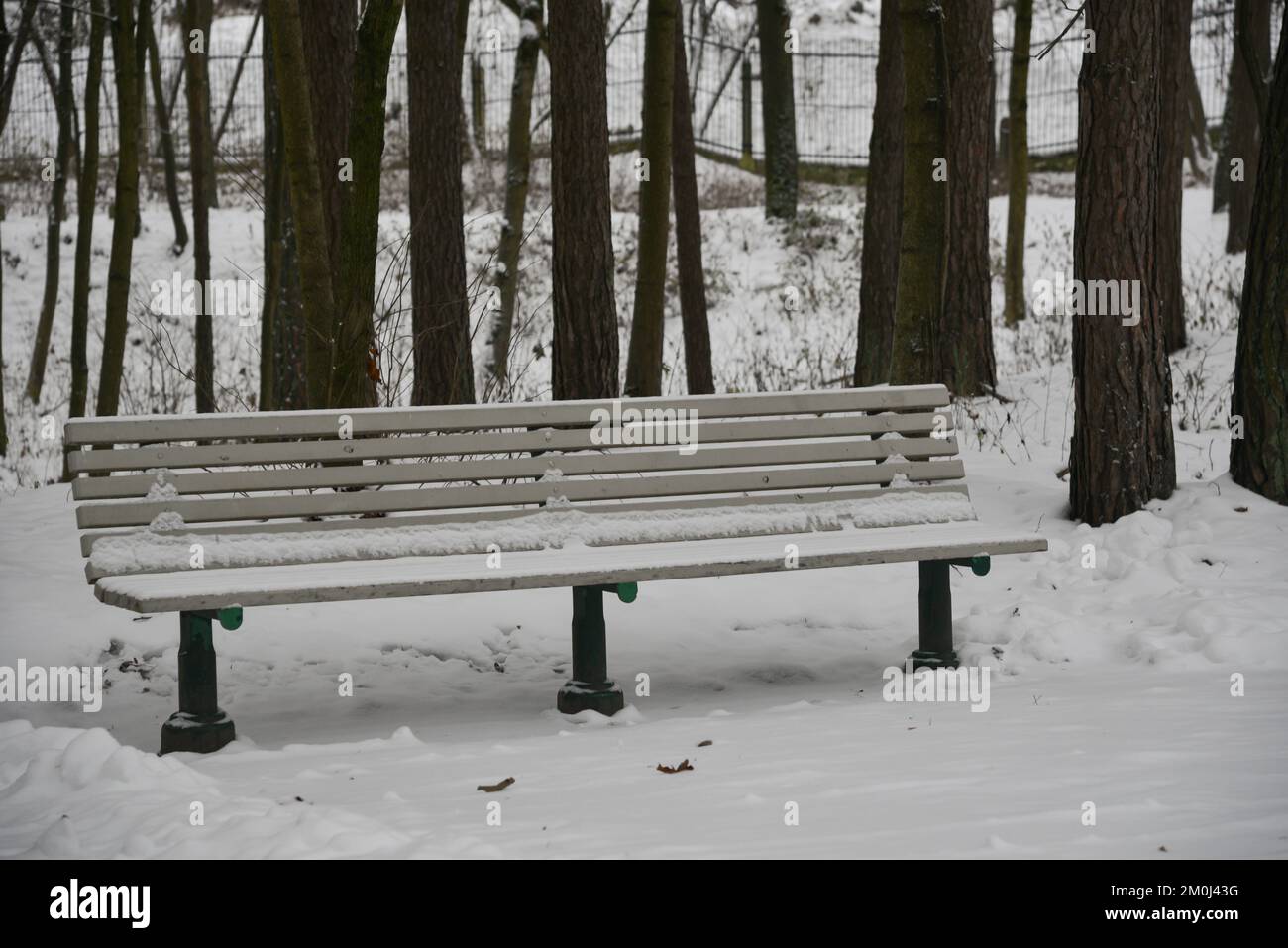 wooden bench in the park is covered with snow Stock Photo - Alamy