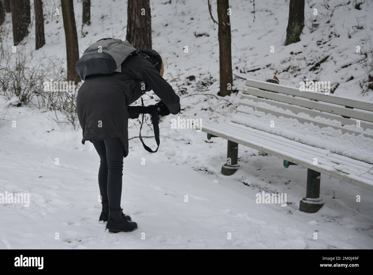 young girl photographer with a gray bag takes pictures of a snowy wooden bench in the park. Stock Photo