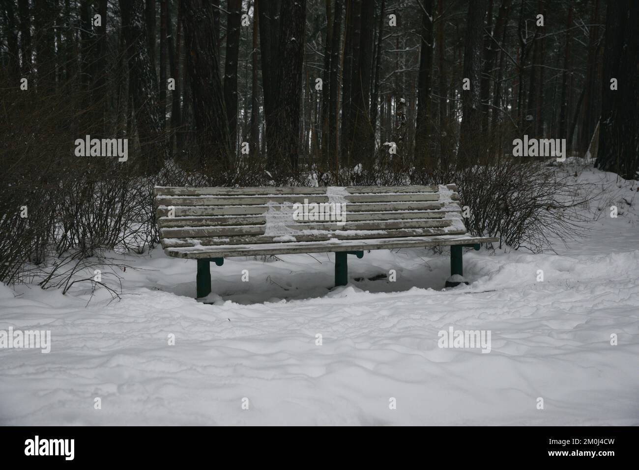 wooden bench in the park is covered with snow Stock Photo - Alamy