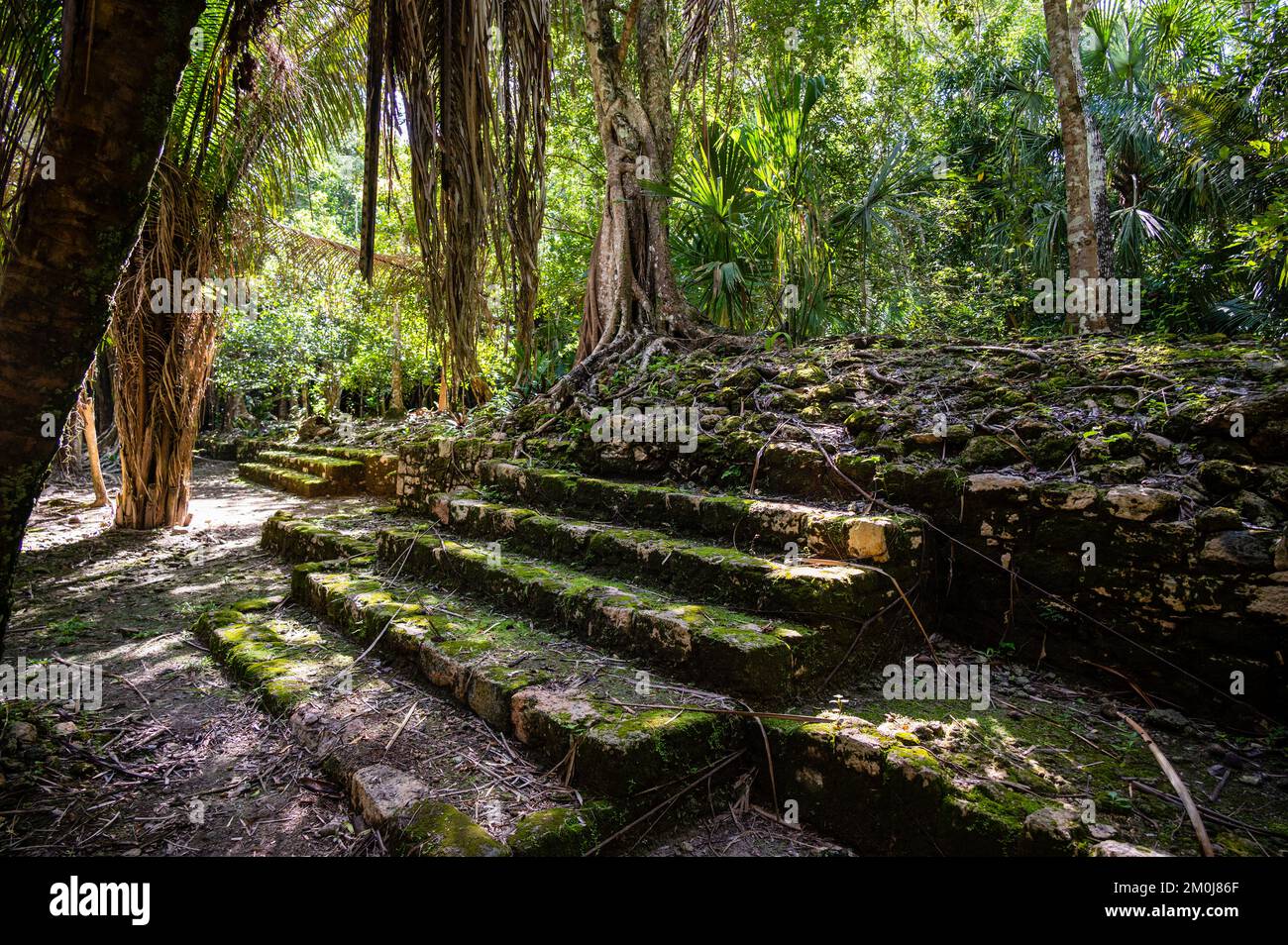 Ancient Pyramid in Mayan Village of Chacchoben, Mexico Stock Photo - Alamy