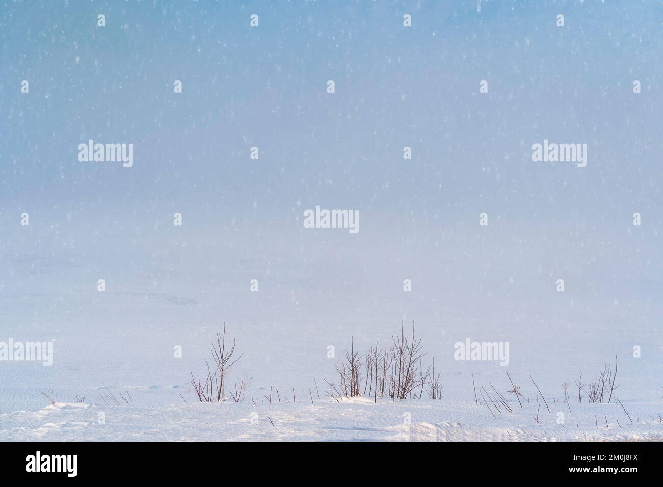 Mist desending on a frozen field of snow. Stock Photo