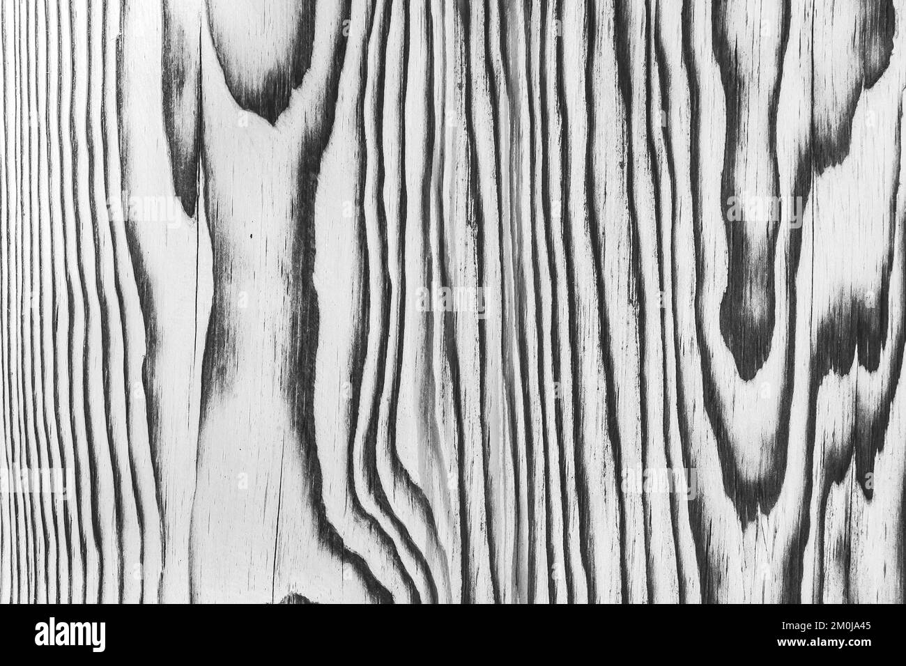 Light white grey wood surface with natural black charred burnt patterns