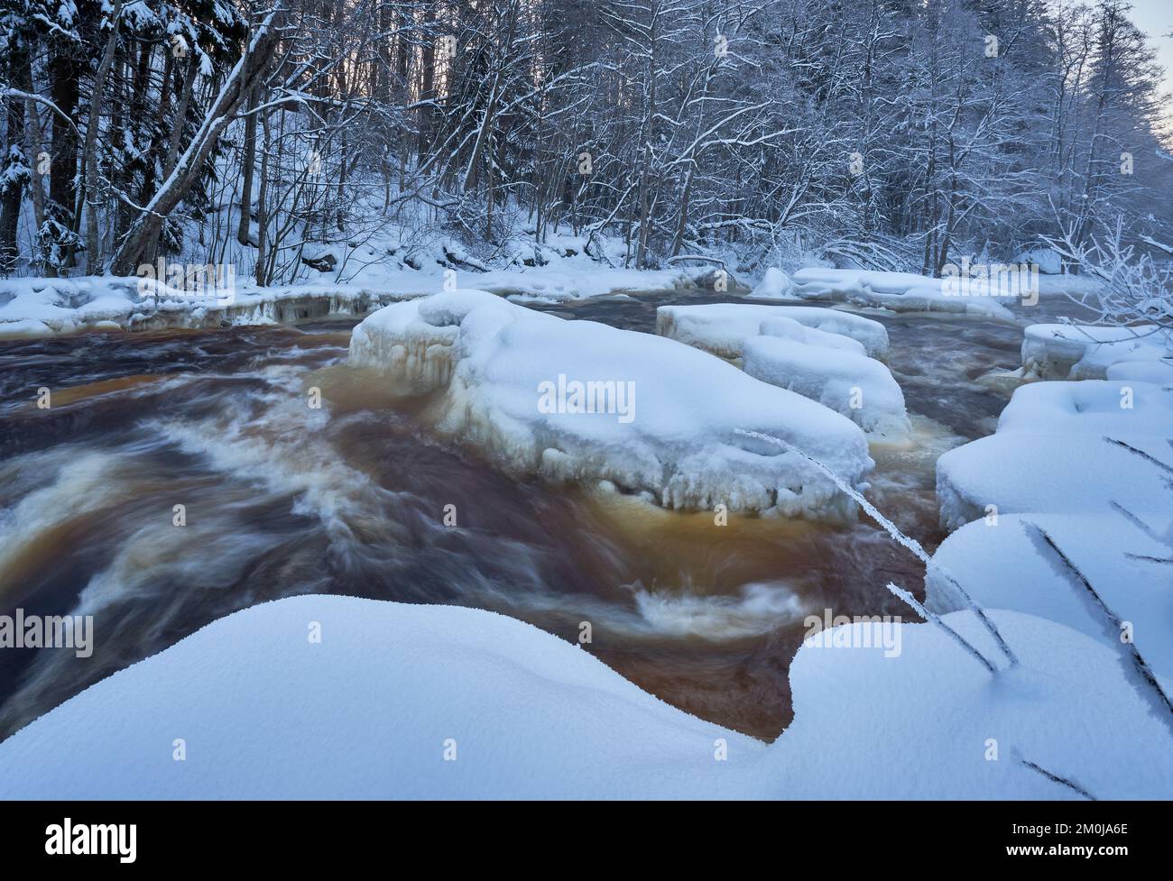 A winter landscape with river flowing through snowy forest, long ...