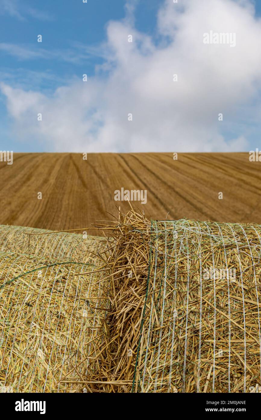 A Rural Sussex Farm Landscape with Hay Bales Stock Photo - Alamy