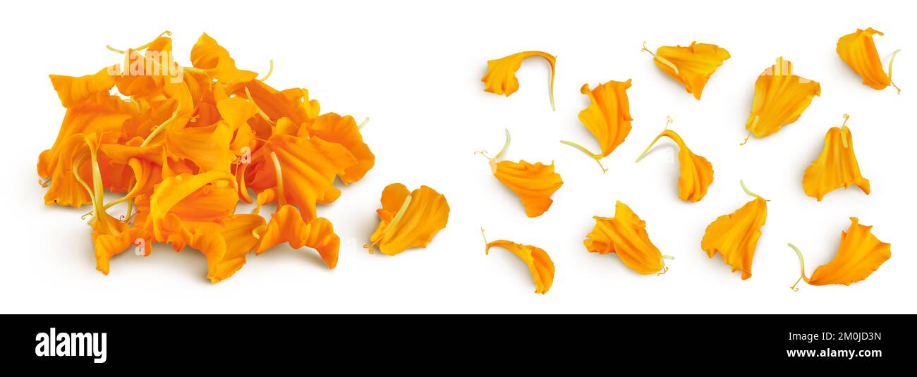 Marigold petals sales