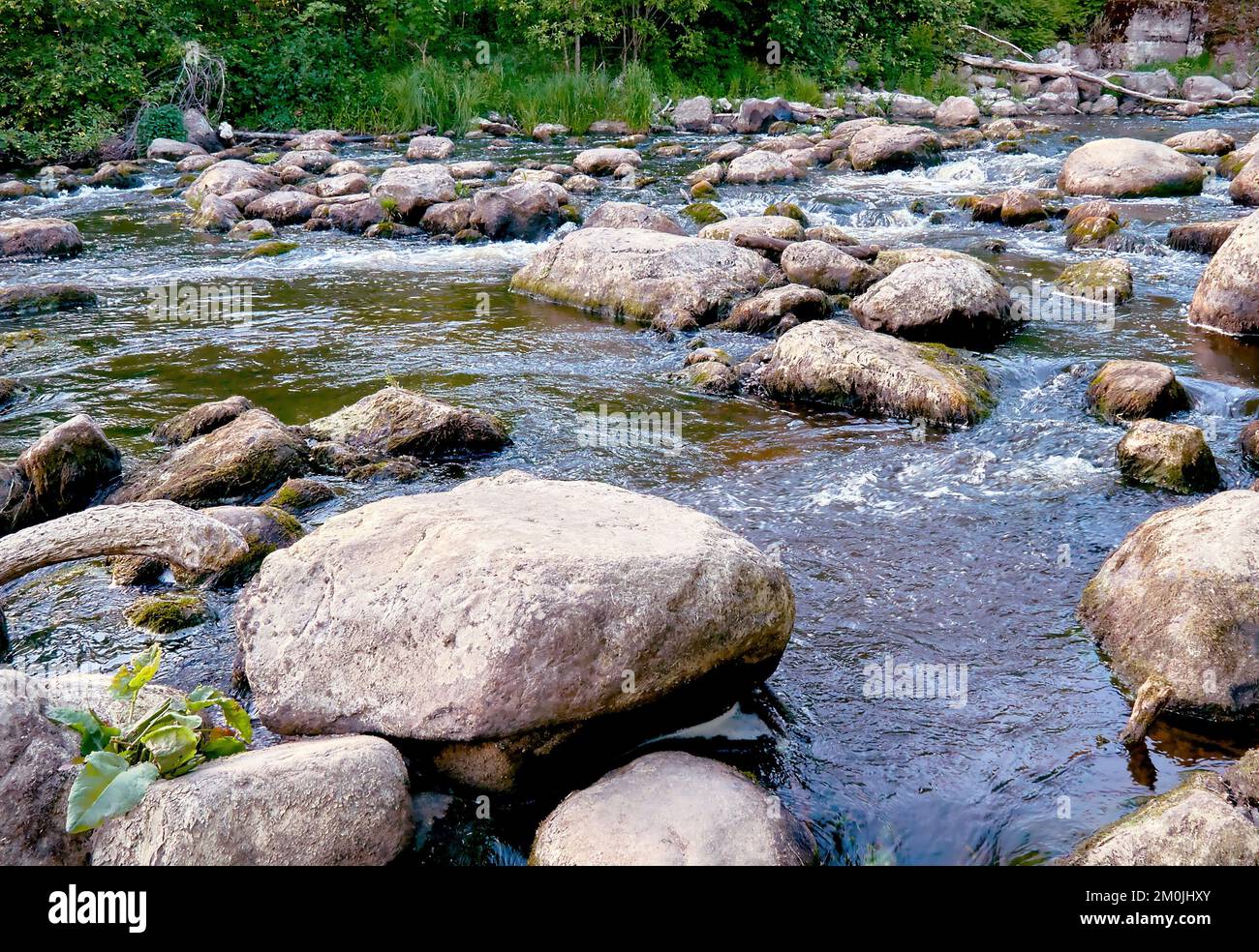 Brook Front View Brook angle hi-res stock photography and images - Alamy