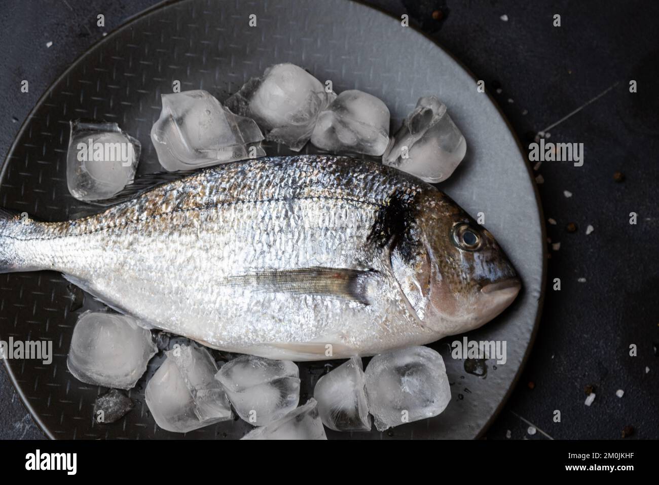 Raw dorado or bream on ice. Mediterranean cuisine, seafood, healthy
