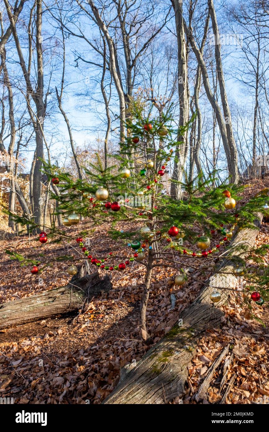 Different Outside Different outdoor Christmas decorations Stock Photo - Alamy