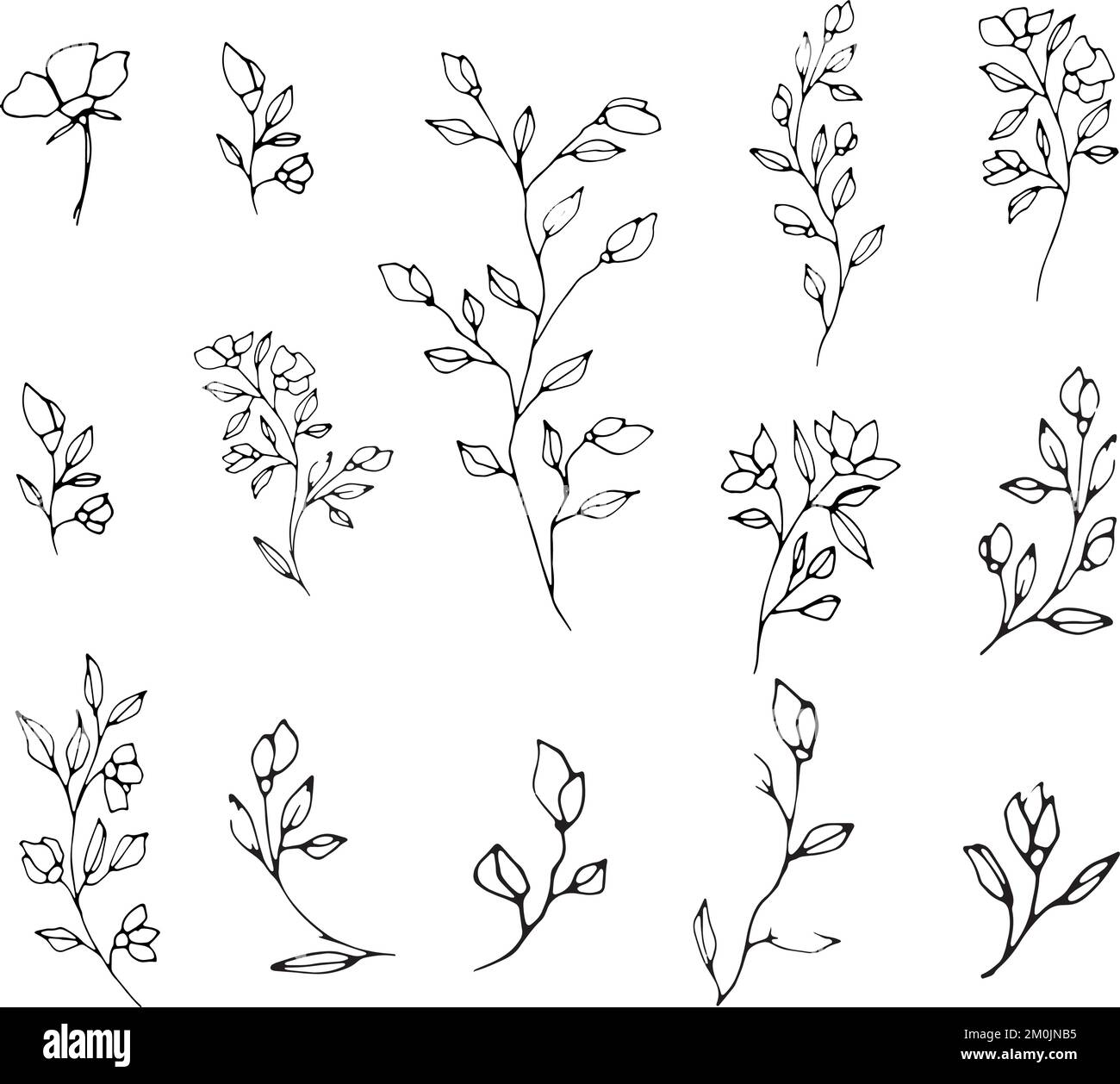 Set of graphic vector plant branches with flowers. buds and berries ...