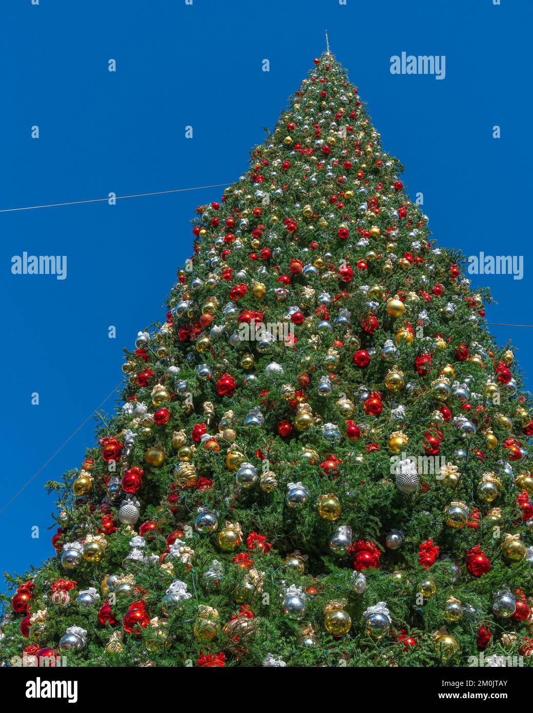 Decorated christmas tree hi-res stock photography and images - Alamy