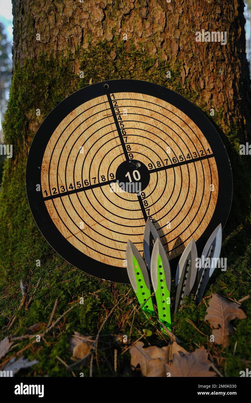 Throwing knives and a round target.Sports equipment. Throwing knives
