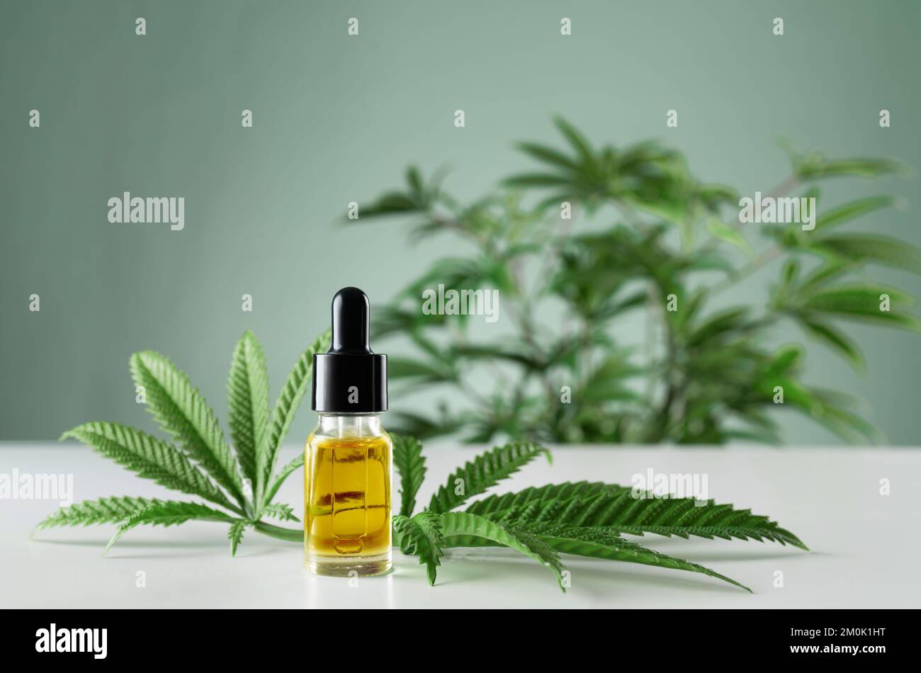 Marijuana with smoking accessories on copy space background. Cannabis  design concept Stock Photo - Alamy