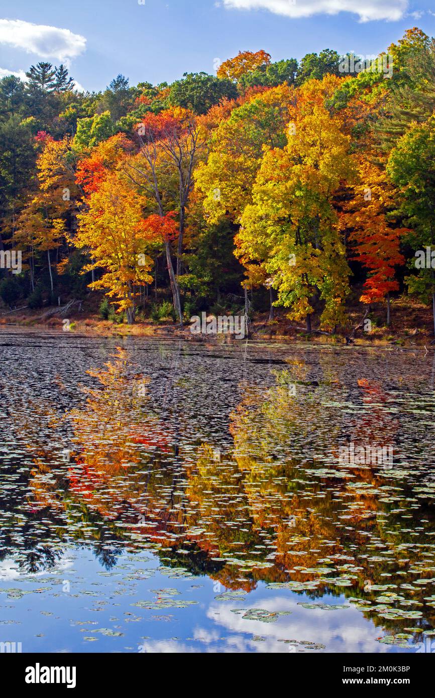 Egypt Mills Pond in Delsaware WAter Gap Nationsal Recreation Area, Pennsylvania is  popular area for wildlife and listed as an inportant bird area. Stock Photo