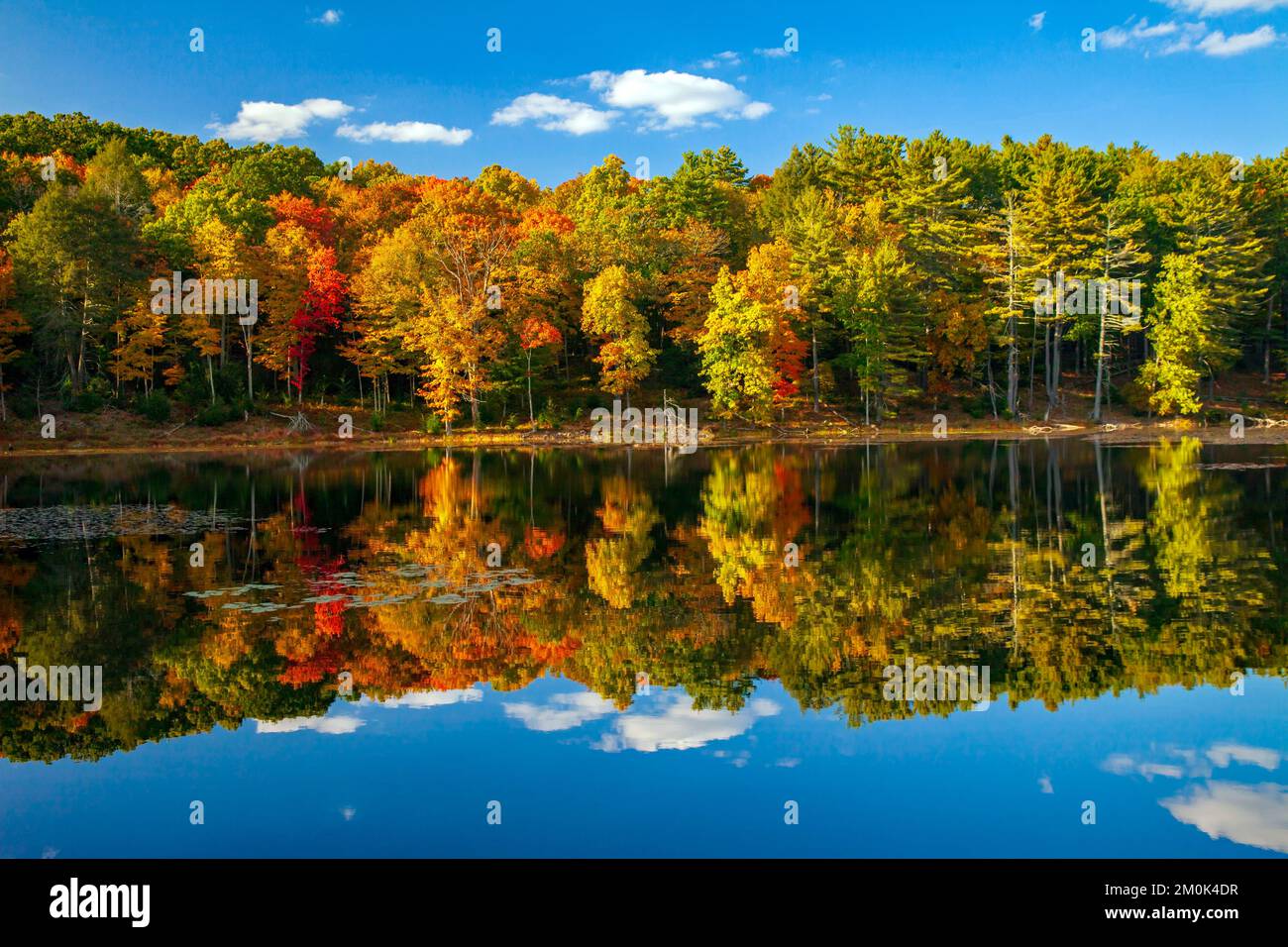 Egypt Mills Pond in Delsaware WAter Gap Nationsal Recreation Area, Pennsylvania is  popular area for wildlife and listed as an inportant bird area. Stock Photo