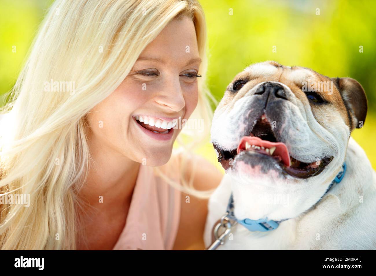 The face of a happy dog. Portrait of a happy dog with his owner looking at him lovingly and laughing. Stock Photo