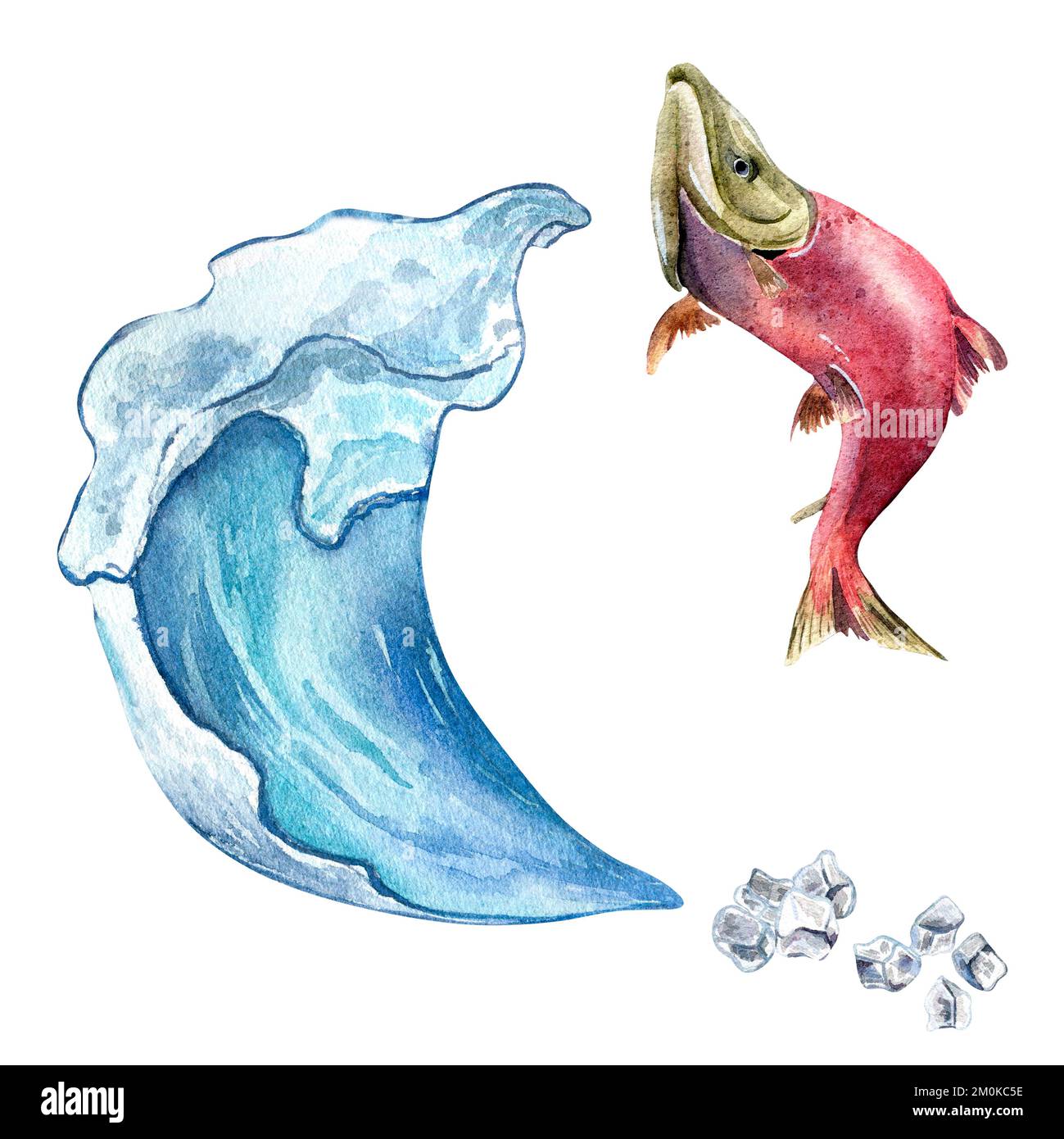 Set of sockeye salmon and sea wave watercolor illustration isolated on ...