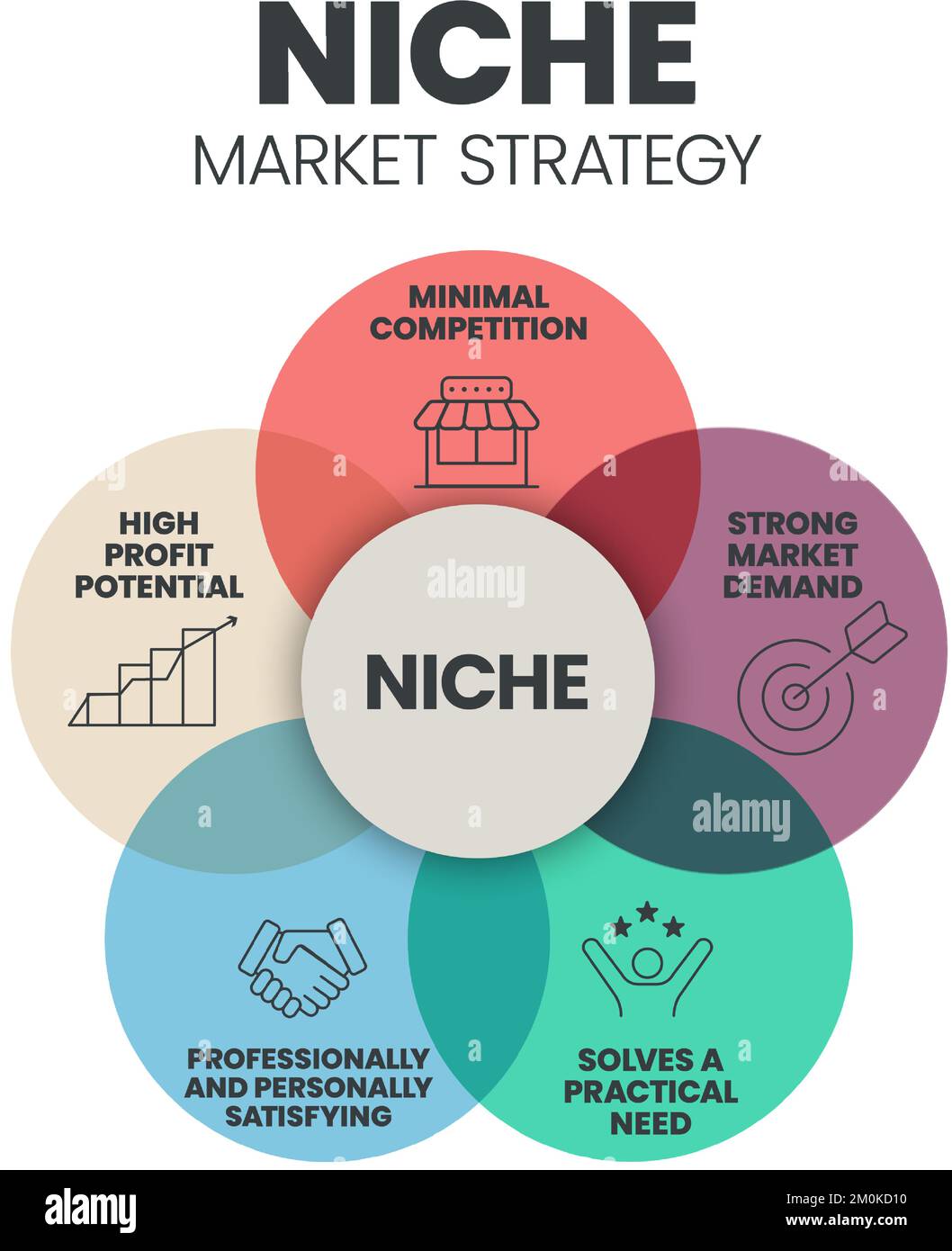 Niche Market Strategy infographic presentation template with icons such ...