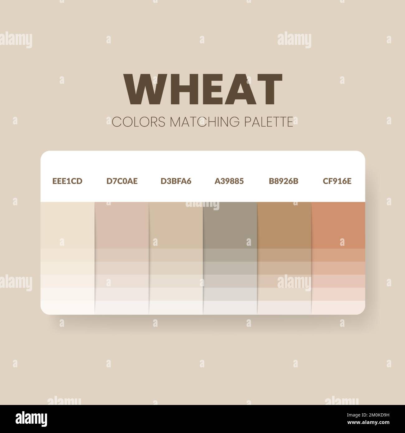 Color palette in a Wheat colour theme collections. Color scheme or colors chart template. Color combination set of RGB, HSL and HEX codes. Swatch. Stock Vector