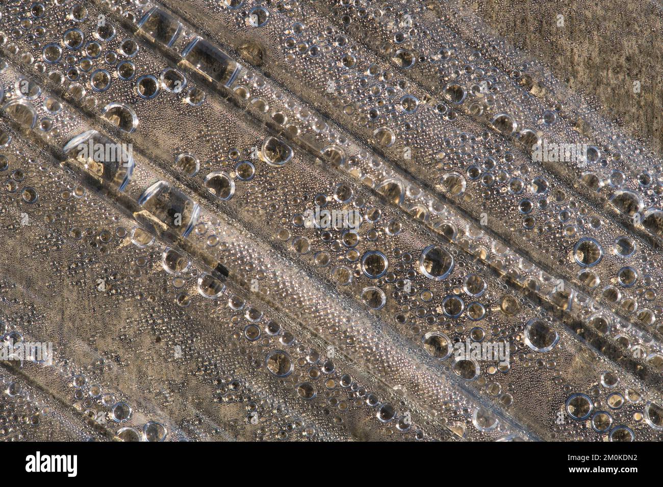 close up Steam and water droplets in plastic wrap, Reinforced concrete piles of the new building