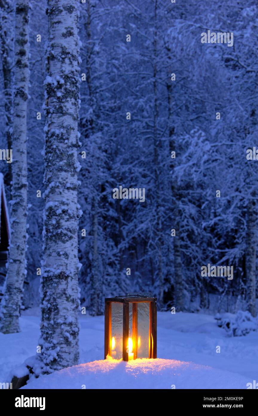 A lit stable lantern standing in snow next to a birch tree Stock Photo