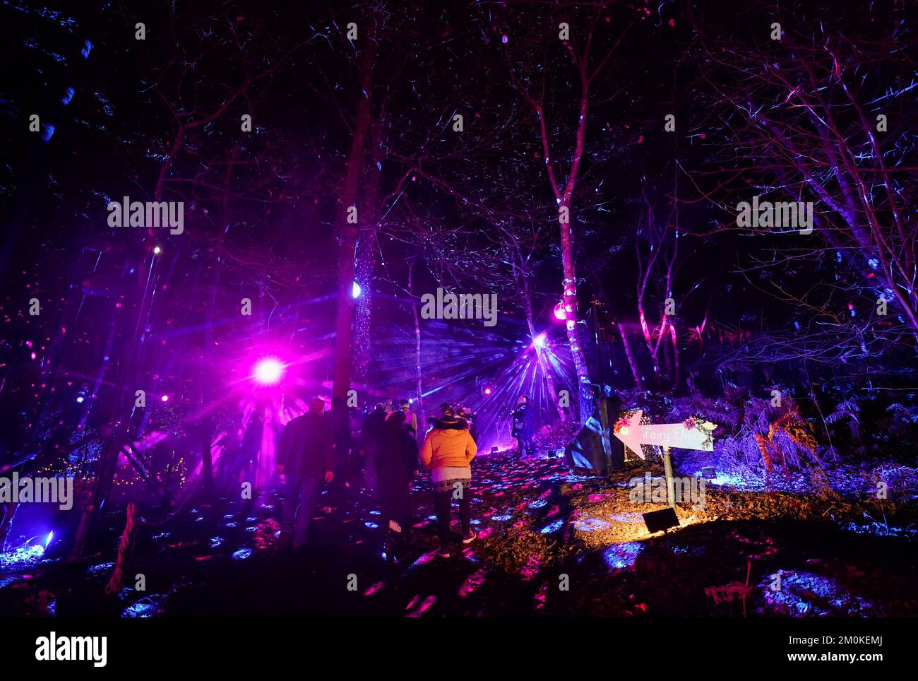 People look at the light installations on display during Windsor Great