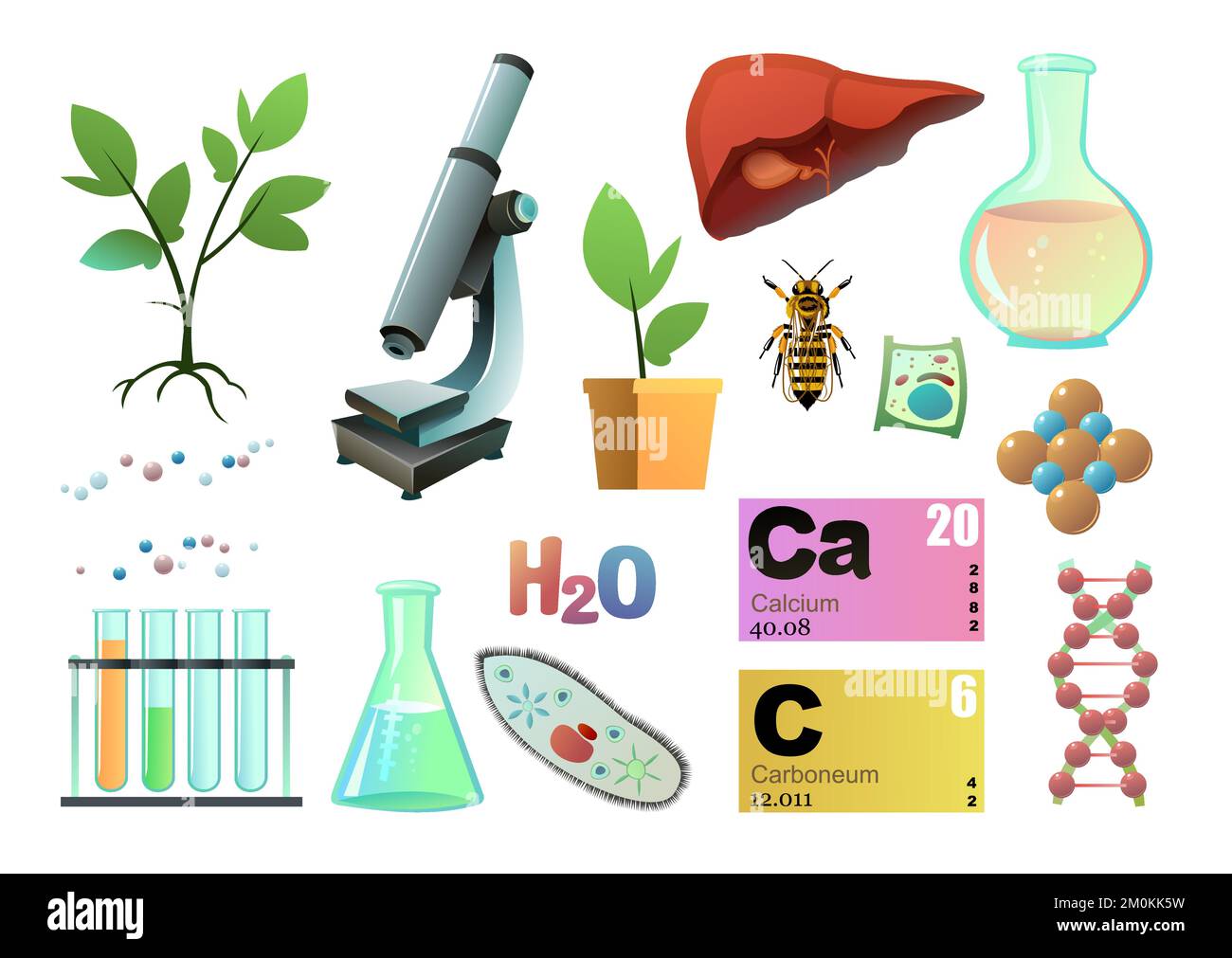 Set Chemistry objects. Science items picture. Study of living cells of plants, animals and humans. Isolated on white background. Vector. Stock Vector