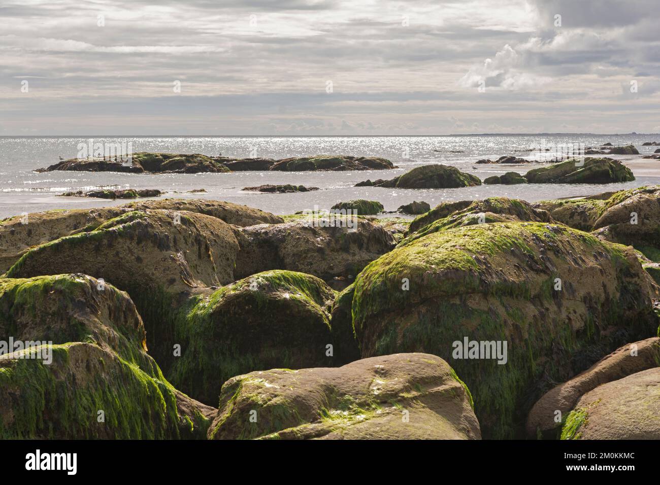 Large rocks on the sea shore, covered with seaweed Stock Photo
