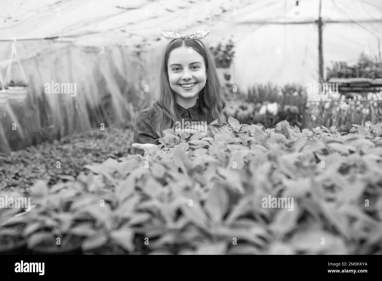 green life. planting pot plants. child gardener. flowers in garden. daily chores Stock Photo Alamy