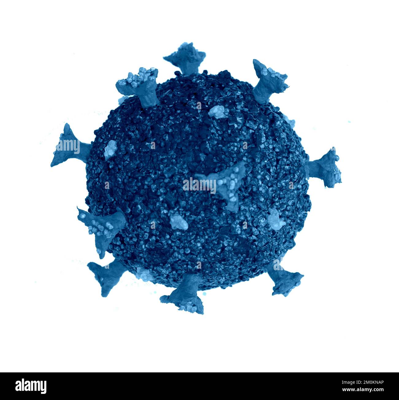 SARS-CoV-2 coronavirus, illustration Stock Photo - Alamy