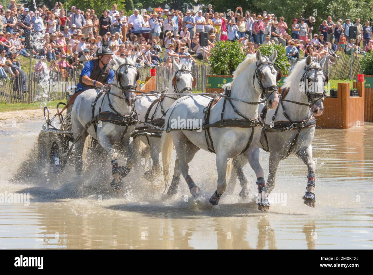 Aachen juni 2022: Horse team at a competition in nature Stock Photo