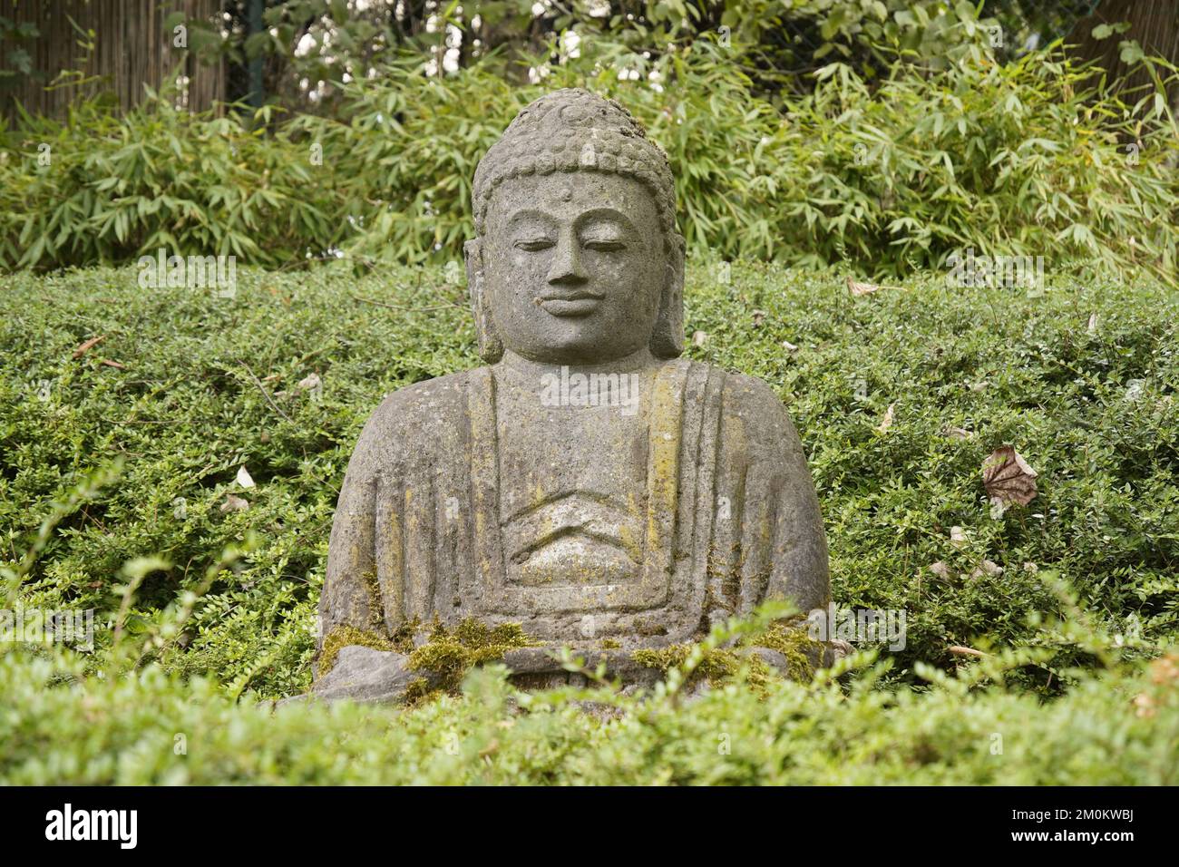 A Japanese Buddha statue in the garden Stock Photo Alamy