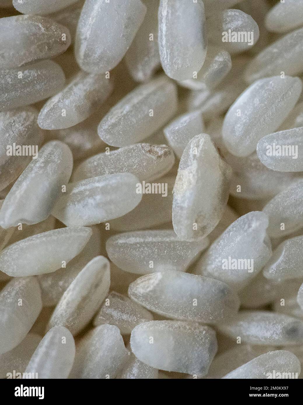 Grainss hi-res stock photography and images - Alamy