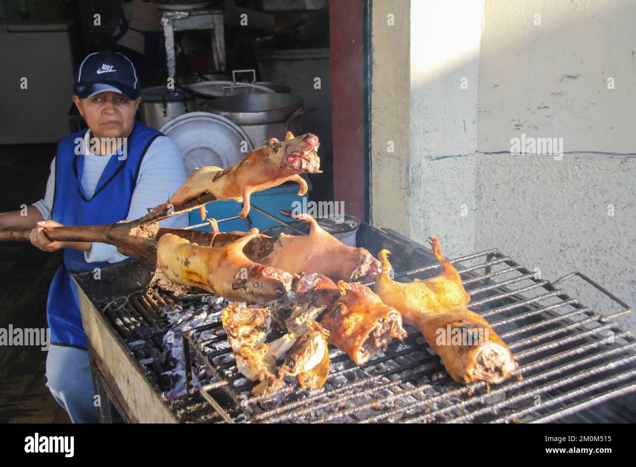 Street food at Banos, Ecuador Roasted Guinea pigs (Cuy) ready to be eaten Stock Photo