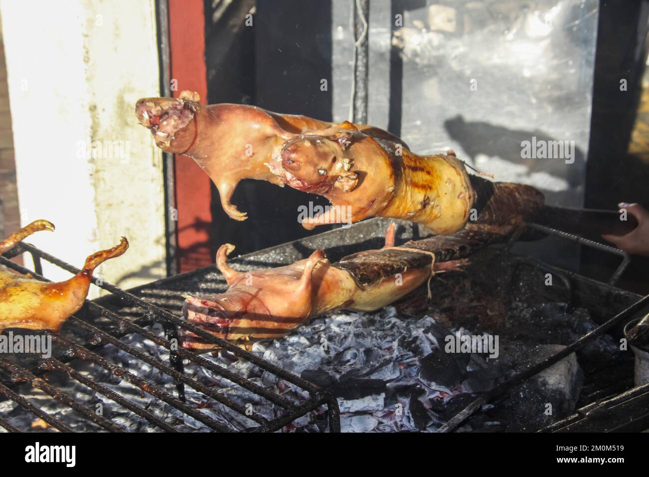 Street food at Banos, Ecuador Roasted Guinea pigs (Cuy) ready to be eaten Stock Photo
