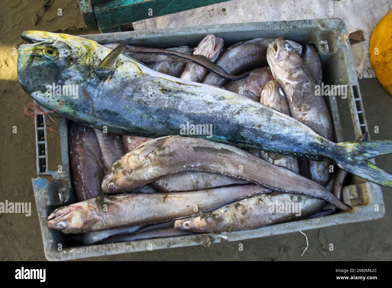 Fish Market at Puerto Lopez, Ecuador. Puerto López (16,000 inhabitants