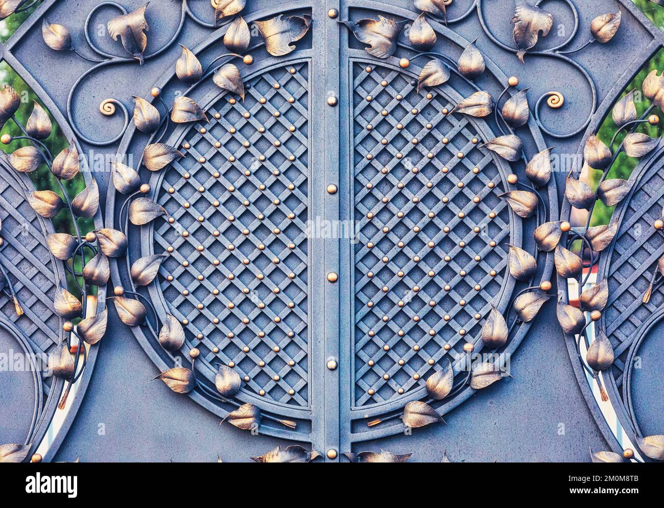 Expensive beautiful metal wrought iron gates. Automatic gate Stock