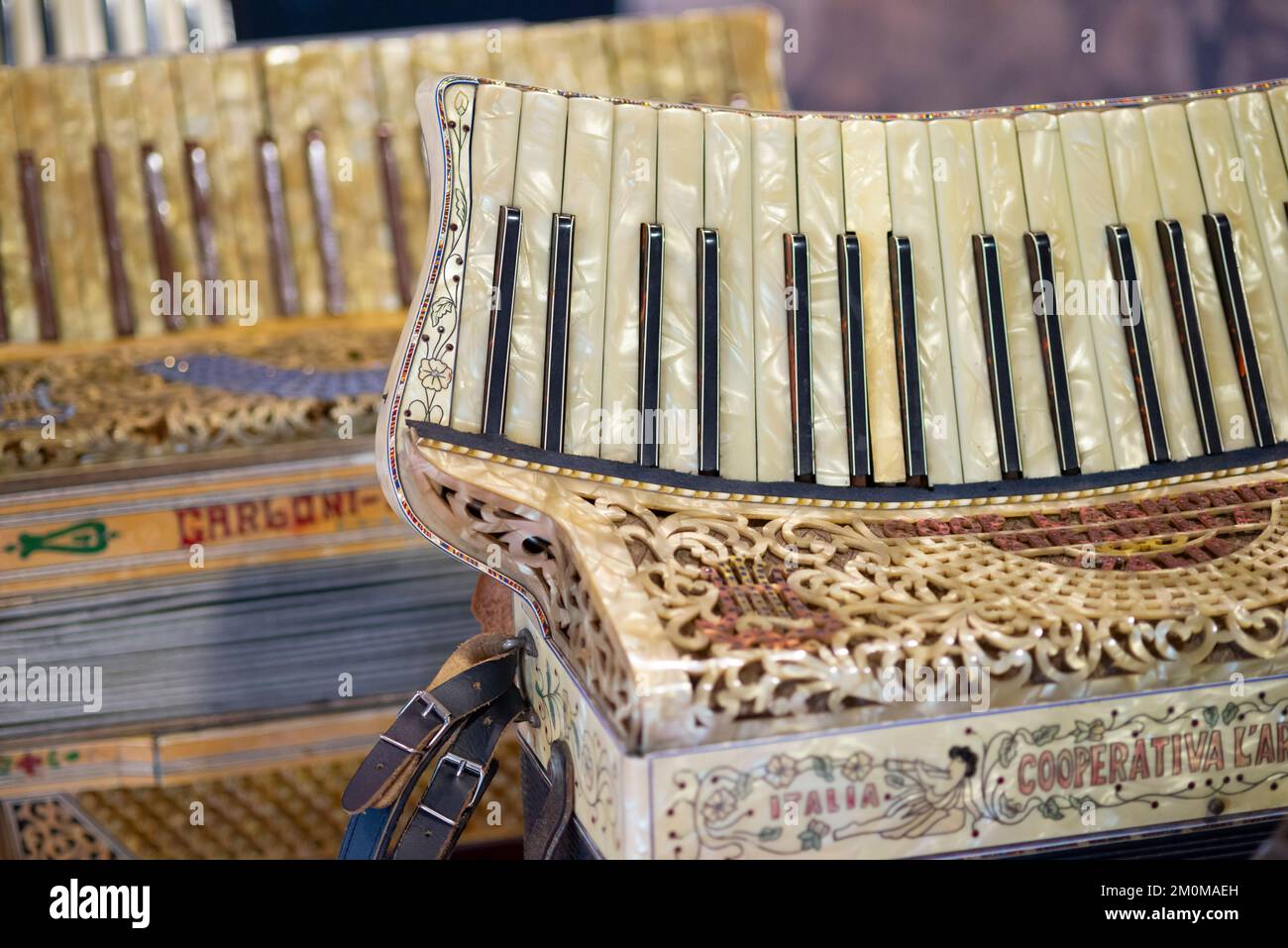 Details Old Accordion with Nacre Keys Stock Photo Alamy