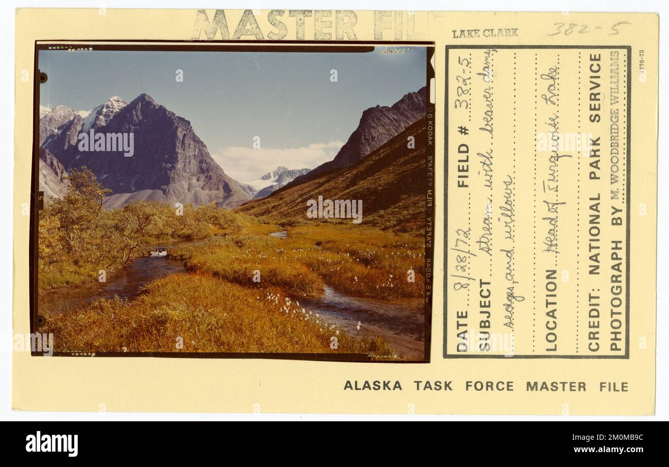 Stream with beaver dam, sedges, and willows. Alaska Task Force Photographs Stock Photo