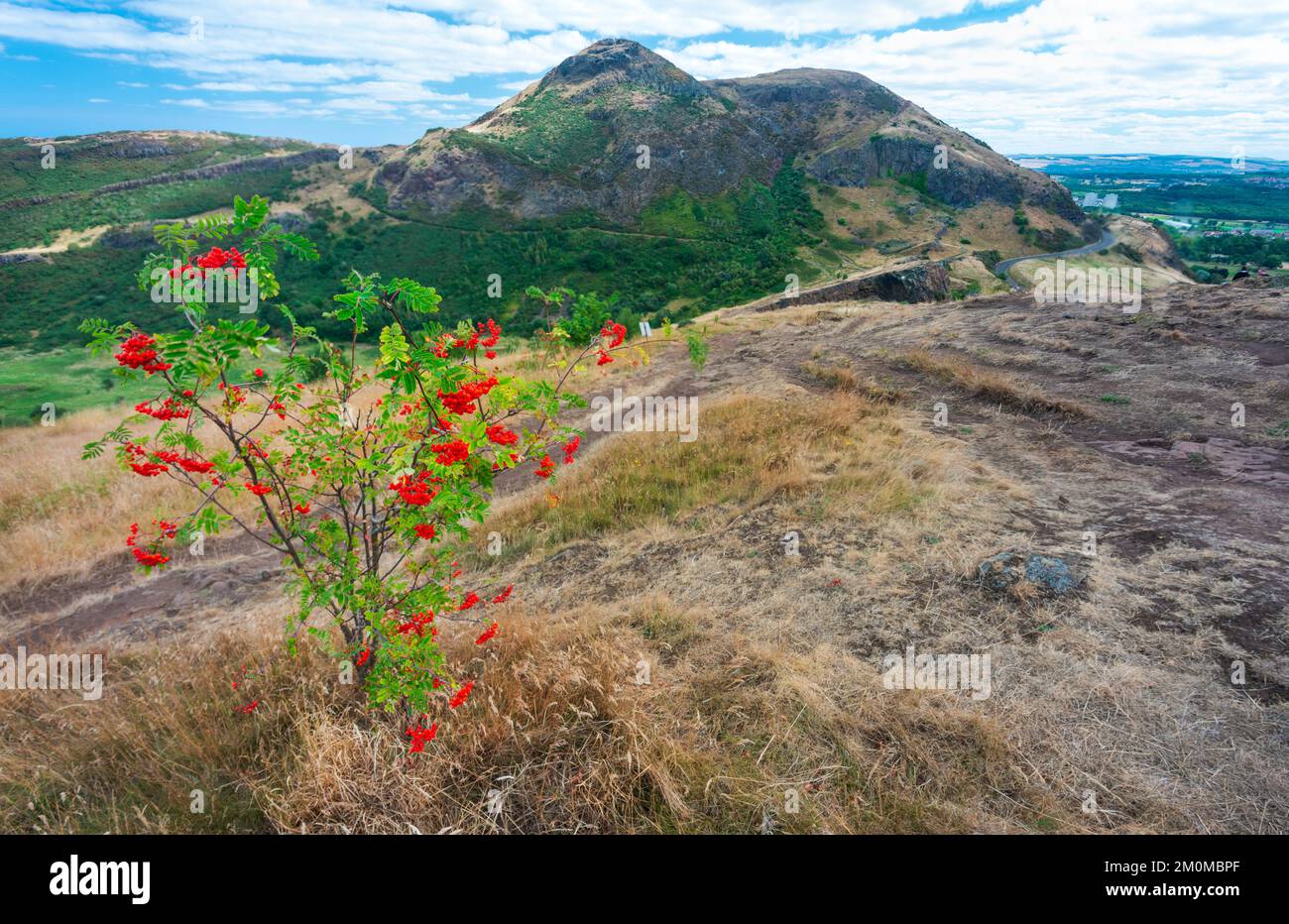 Arthurs Seat Mountain Hi res Stock Photography And Images Alamy arthurs-seat-mountain-hi-res-stock-photography-and-images-alamy