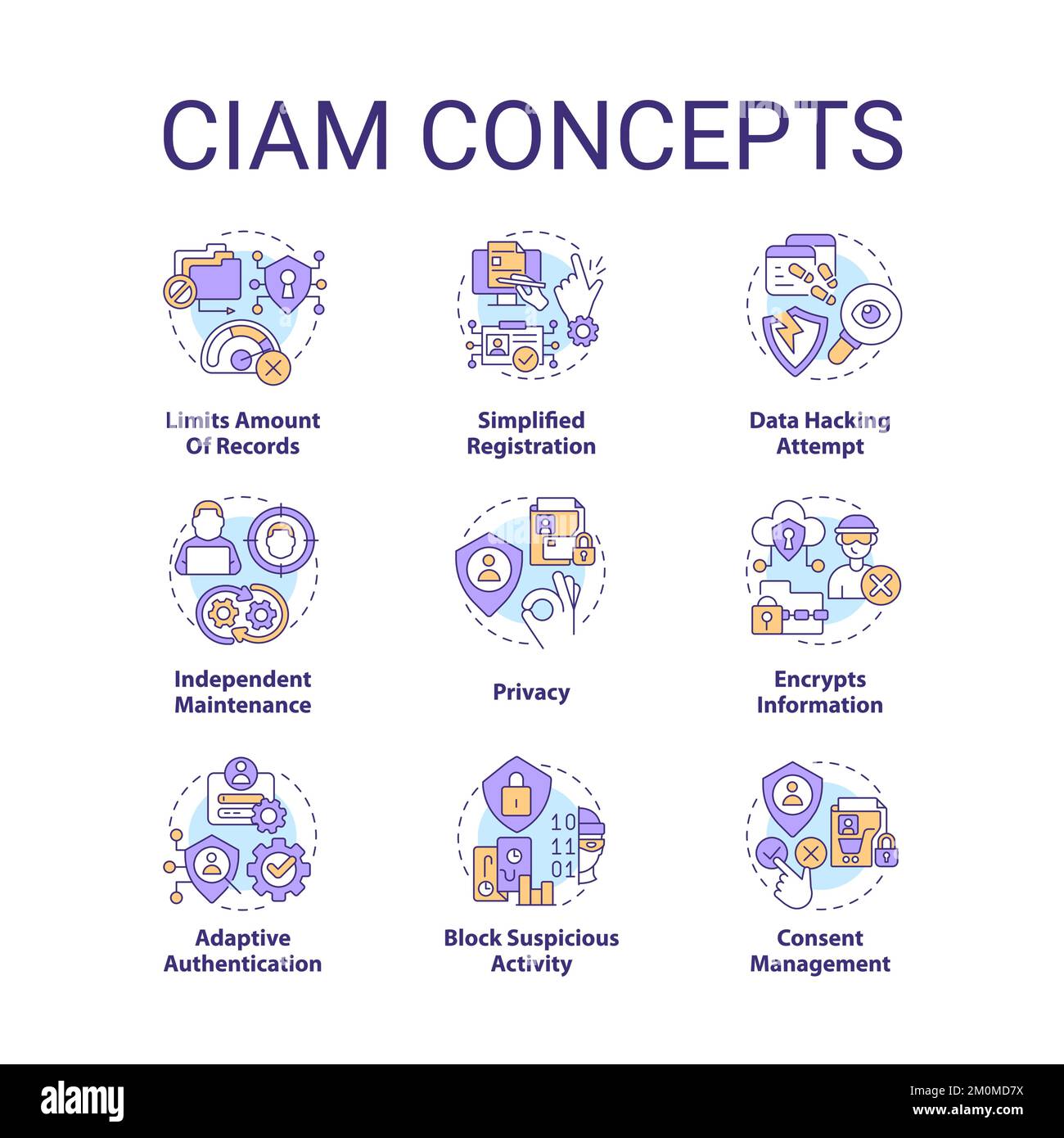 CIAM concept icons set Stock Vector