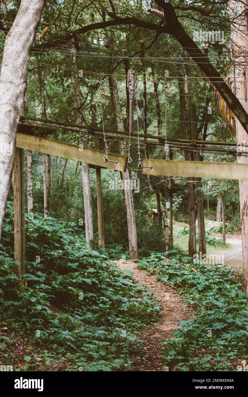 High ropes experience adventure tree park. Rope road course in trees